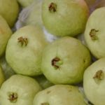 الجوافة والوقاية من السرطان